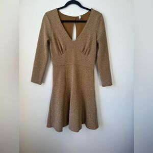 Free People Brown Fit and Flare Dress